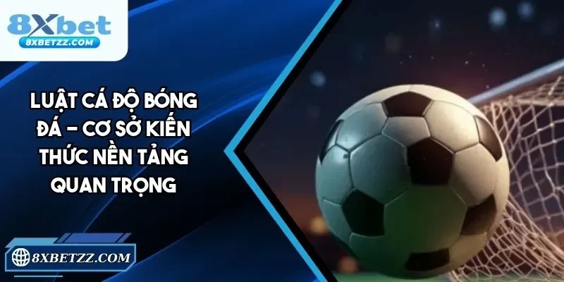 Luật Cá Độ Bóng Đá - Cập Nhật Chi Tiết Cùng 8xbet